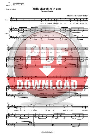 Trad.-Schubert: Mille cherubini in coro